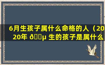 6月生孩子属什么命格的人（2020年 🐵 生的孩子是属什么 🐳 命）